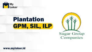 Loker Plantation PT Sugar Group Companies